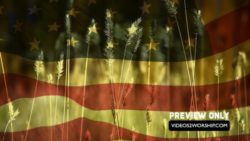 American Flag And Grass Motion Backdrop