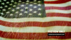 Read more about the article FREE USA Flag And Tall Grass Background