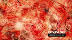 Read more about the article Summer Worship Motion Background