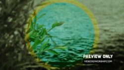 Read more about the article Free River Worship Motion background