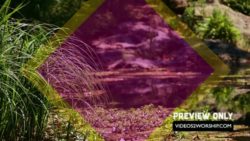 Read more about the article Free Nature Motion Worship Background