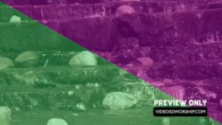 Read more about the article Free Download Summer Motion Background