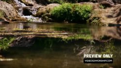 Read more about the article Waterfall And Pond Motion Background