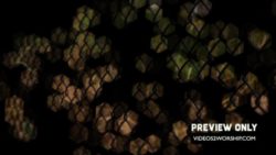 Read more about the article Wire Fence Motion Background Loop