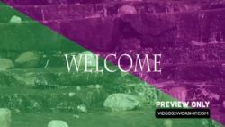 Read more about the article Free Summer Welcome Background