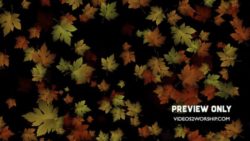 Read more about the article Autumn Large Leaves Background