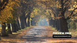 Read more about the article Autumn Roads Worship Motion Loop