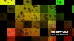 Read more about the article Large Leaves And Textured Shapes