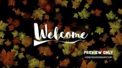 Read more about the article Welcome Text Over Large Falling Leaves