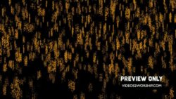 Read more about the article Falling Gold Background Graphics Loop