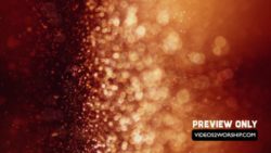 Read more about the article Bokeh Particles Worship Motion