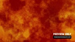 Read more about the article Autumn Textured Seamless Background Loop