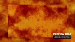 Read more about the article Textured Orange Thanksgiving Motion