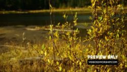 Read more about the article Free Autumn Nature Worship Background