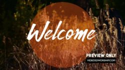 Tall Grass Welcome Motion Worship