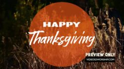 Read more about the article Happy Thanksgiving Motion Graphics