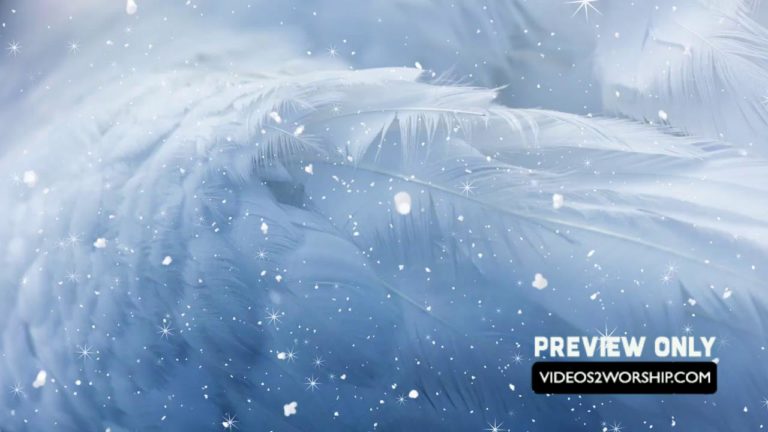 Read more about the article Still: Angel Wing