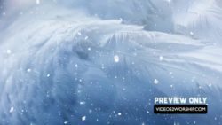 Angel Wings Christmas Graphics Motion Loop