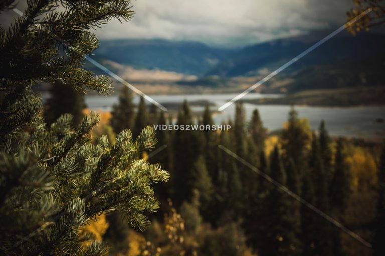 Read more about the article Stock Photography: Evergreen And Aspen
