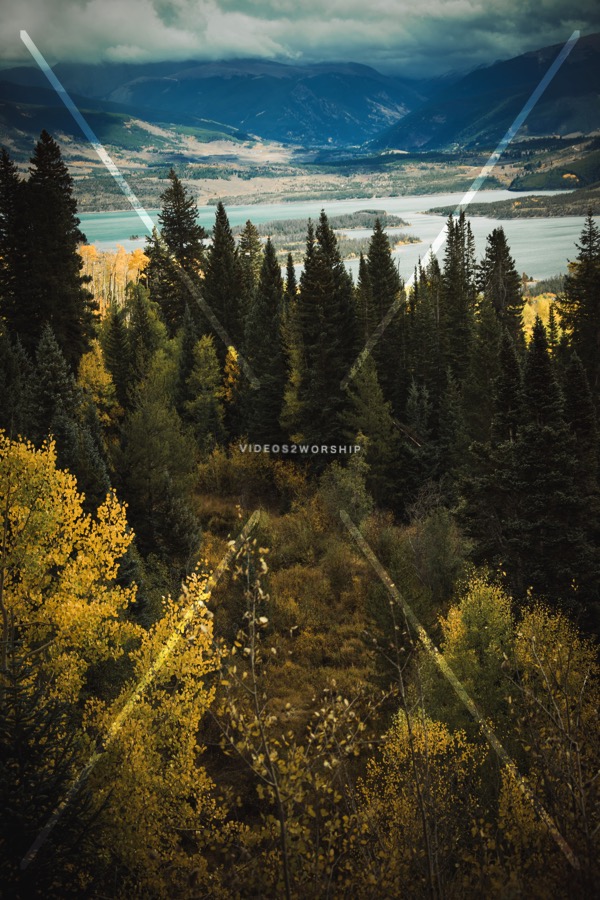 Read more about the article Stock Photography: Gold And Green