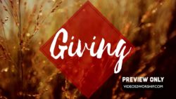 Golden Nature Giving Graphics Loop