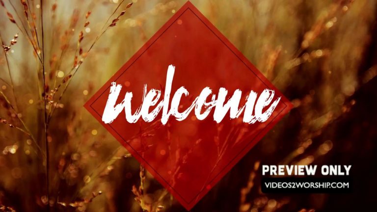 Read more about the article Golden Grass Welcome Graphics Loop