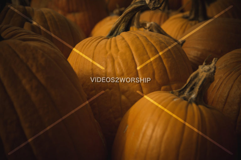 Read more about the article Stock Photography: Fall Pumpkins