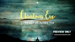 Read more about the article Still: Christmas Eve 2