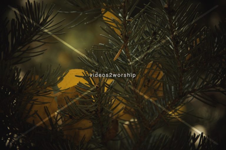 Read more about the article Stock Photography: Green And Golden Image