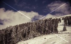 Read more about the article Stock Photography: Dusted In Snow