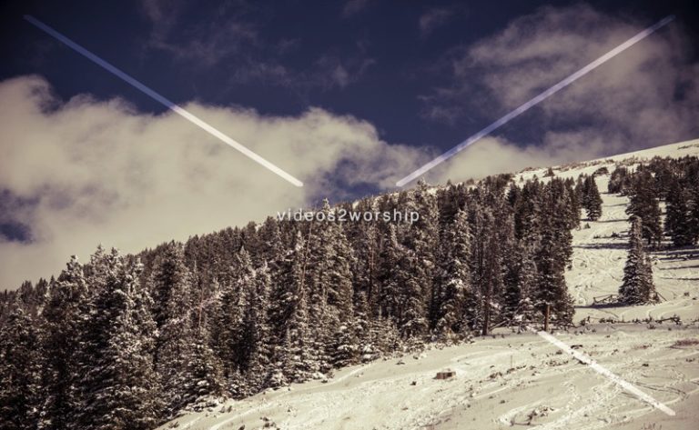 Read more about the article Stock Photography: Dusted In Snow