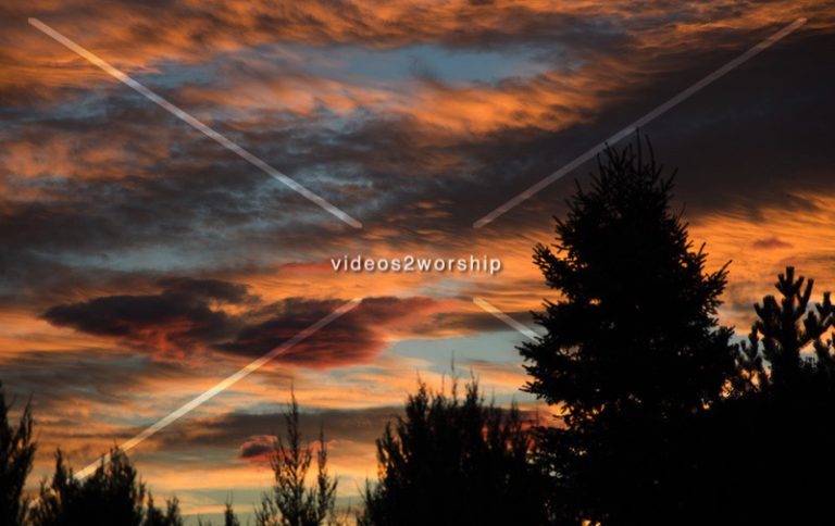 Read more about the article Stock Photography: Trees Silhouettes At Sunset