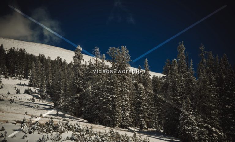 Read more about the article Stock Photography: Pine Trees And Snow