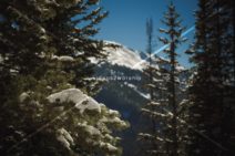 Read more about the article Stock Photography: Winter Wonderland