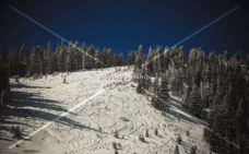 Read more about the article Stock Photography: Sledding Hill