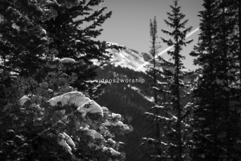 Read more about the article Stock Photography: Winter Landscape