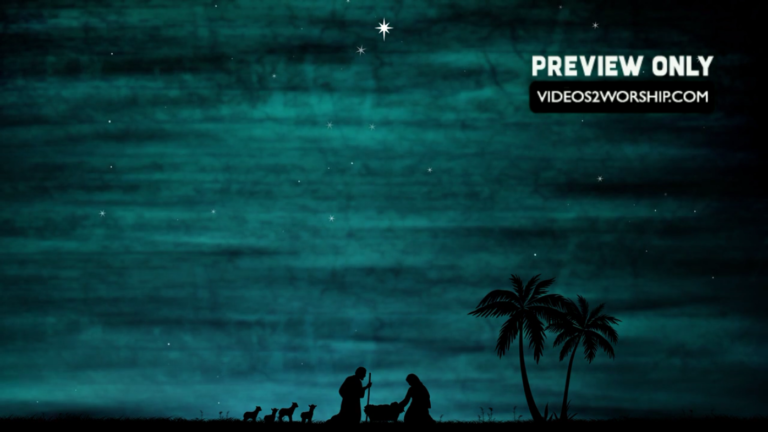 Read more about the article Christmas Nativity Lambs And Messiah