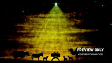 Read more about the article Animals Around The Manger Christmas Loop