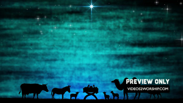 Read more about the article Christmas Nativity Animals Around Manger