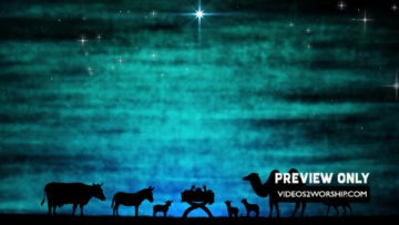 Christmas Nativity Animals Around Manger