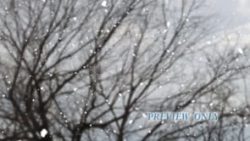 Read more about the article Falling Snow Worship Motion