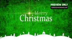 Read more about the article Merry Christmas Textured Green Backdrop