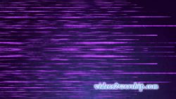 Read more about the article Racing Lines Modern Purple Loop