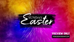 Read more about the article Still: Easter Sunday