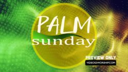 Green Palm Sunday Graphics Title Loop