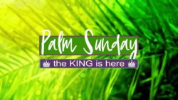 Palm Tree Branch And Text Sunday Graphics