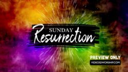 Read more about the article Still: Resurrection Sunday