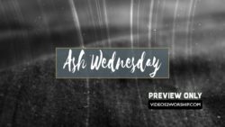 Read more about the article Still: Ash Wed Title