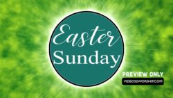 Read more about the article Still: Easter Sunday