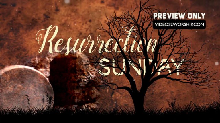 Read more about the article Still: Resurrection Title